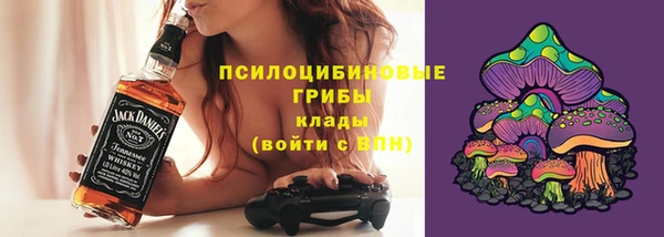 ГАЛЛЮЦИНОГЕННЫЕ ГРИБЫ Волоколамск