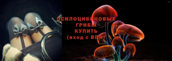 ГАЛЛЮЦИНОГЕННЫЕ ГРИБЫ Волоколамск