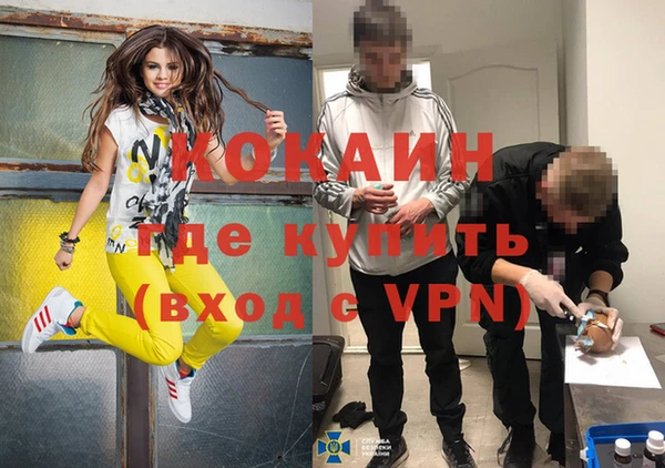 стаф Волосово
