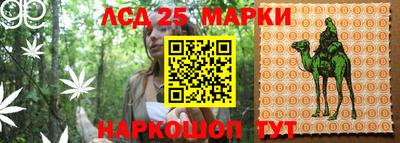 альфа пвп Ставрополь