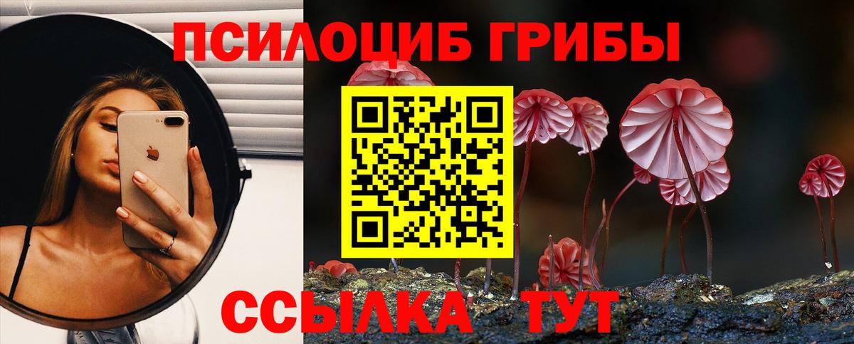 Псилоцибиновые грибы мухоморы Ноябрьск