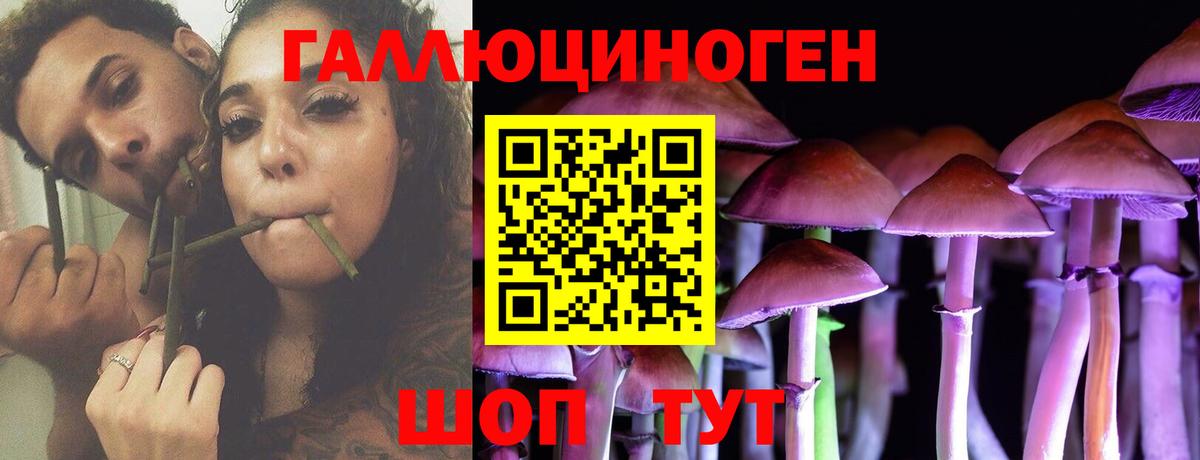 Ноябрьск  Псилоцибиновые грибы GOLDEN TEACHER  Вход с VPN 